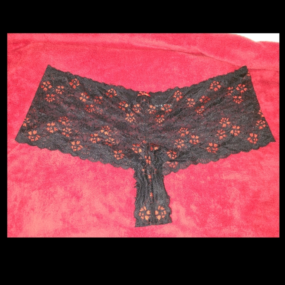 Torrid Panties